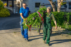 Maibaum_026