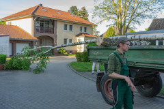 Maibaum_029