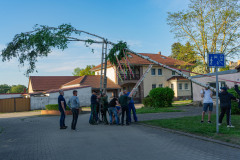 Maibaum_036