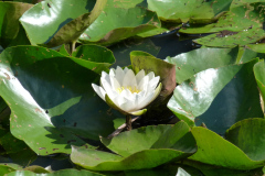 P1180959